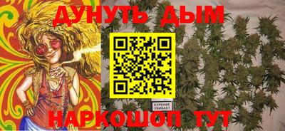 сатива Краснознаменск