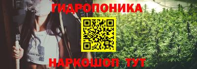 сатива Краснознаменск