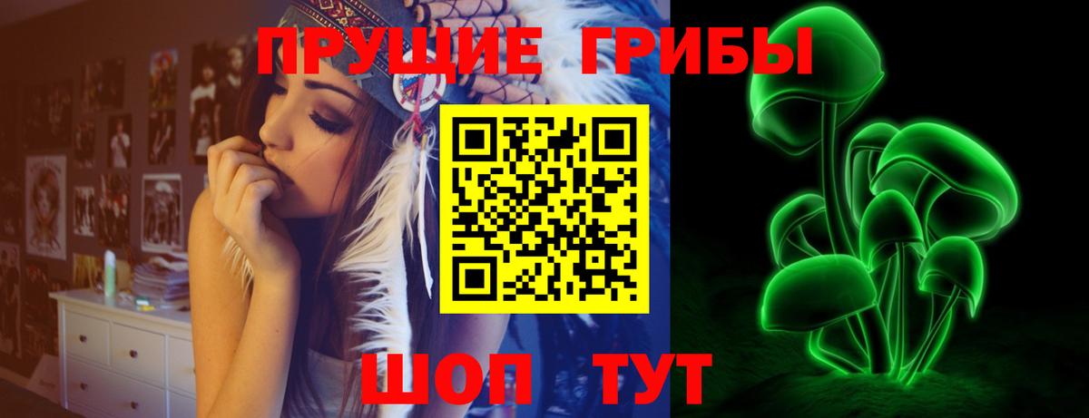 Галлюциногенные грибы Cubensis  Галлюциногенные грибы GOLDEN TEACHER  Гусь-Хрустальный  Вход с VPN 